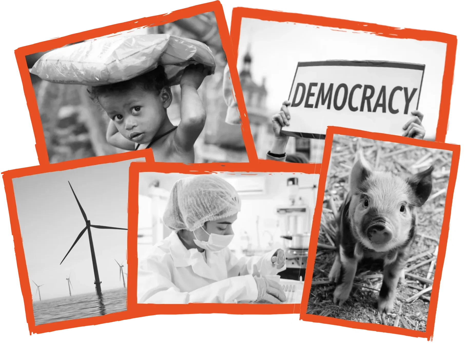 Fotocollage: Kind mit Hilfsgütern, Demokratie-Demonstration, Offshore-Windkraftanlagen, Laborforschung und ein Ferkel