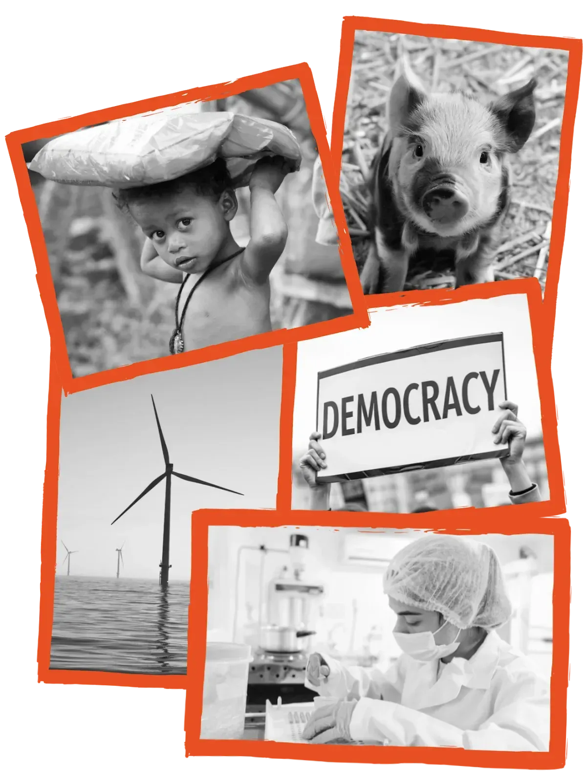 Fotocollage: Kind mit Hilfsgütern, Ferkel, Demokratie-Demonstration, Offshore-Windkraftanlagen und Laborforschung